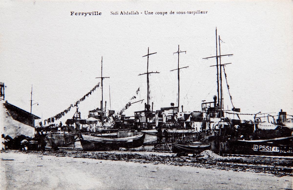 P031-005