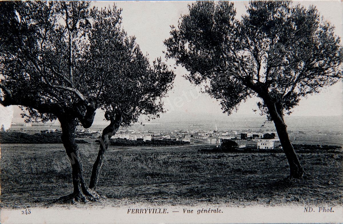 P031-008