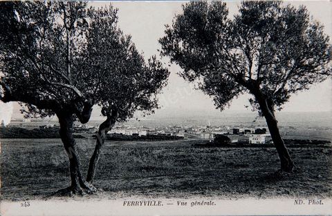 Vue générale sur Ferryville de pusi la campagne actuelle Menzel Bourguiba - datée de 1916 - Carte postale ancienne Tunisie
