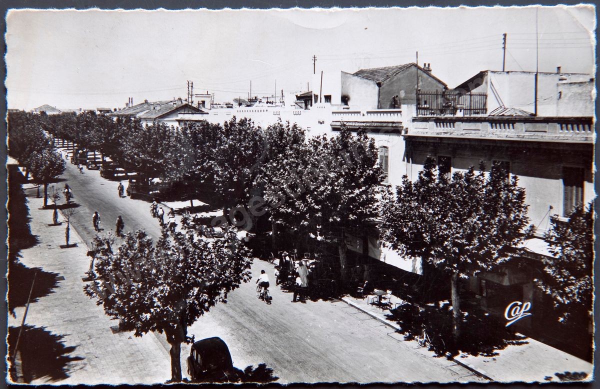 P031-017