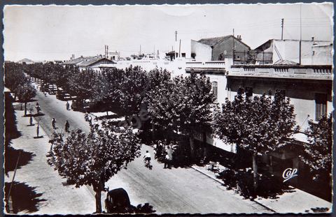 L'avenue de France à Ferryville actuelle Menzel Bourguiba - Carte postale ancienne Tunisie