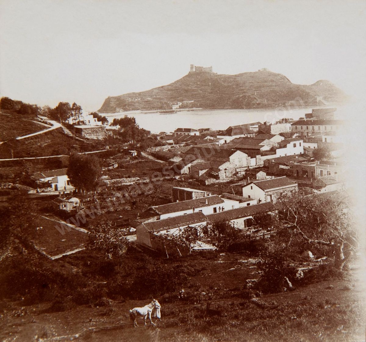 P036 TABARKA