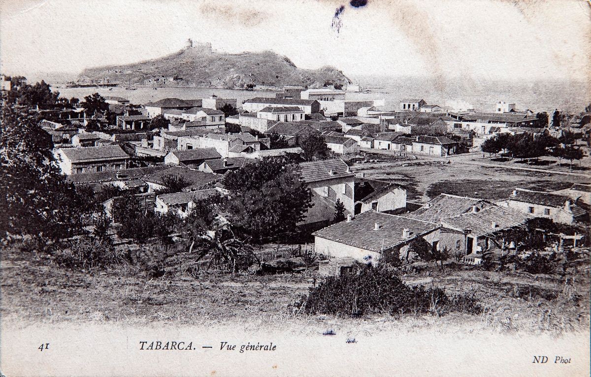 P036-101
