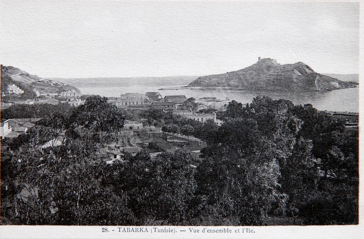 P036-103