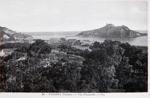 Vue d'ensemble de l'ile - Tabarka - Carte postale ancienne Tunisie