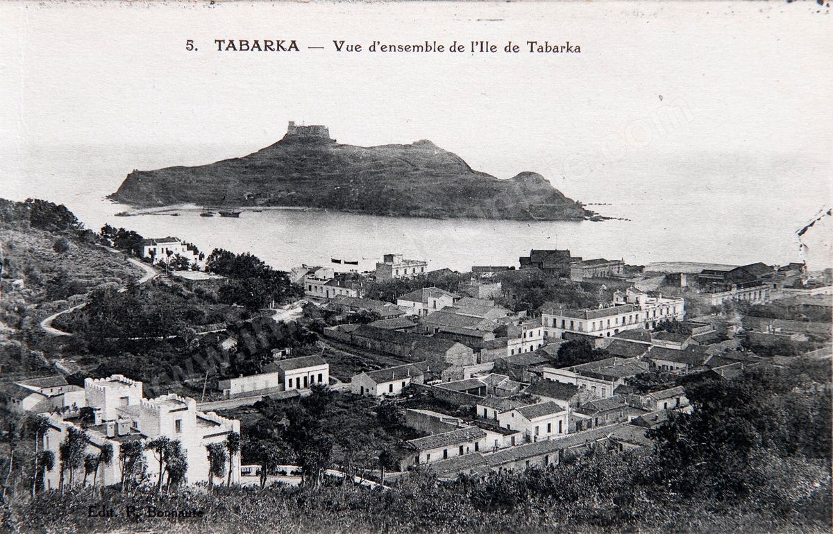 P036-104
