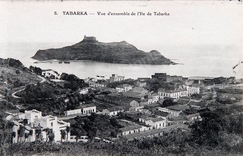 Vue d'ensemble de l'ile - Tabarka - Carte postale ancienne Tunisie
