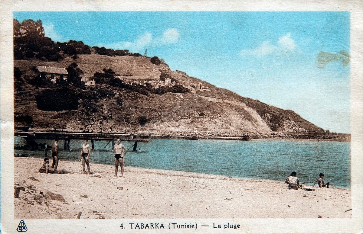 P036-107