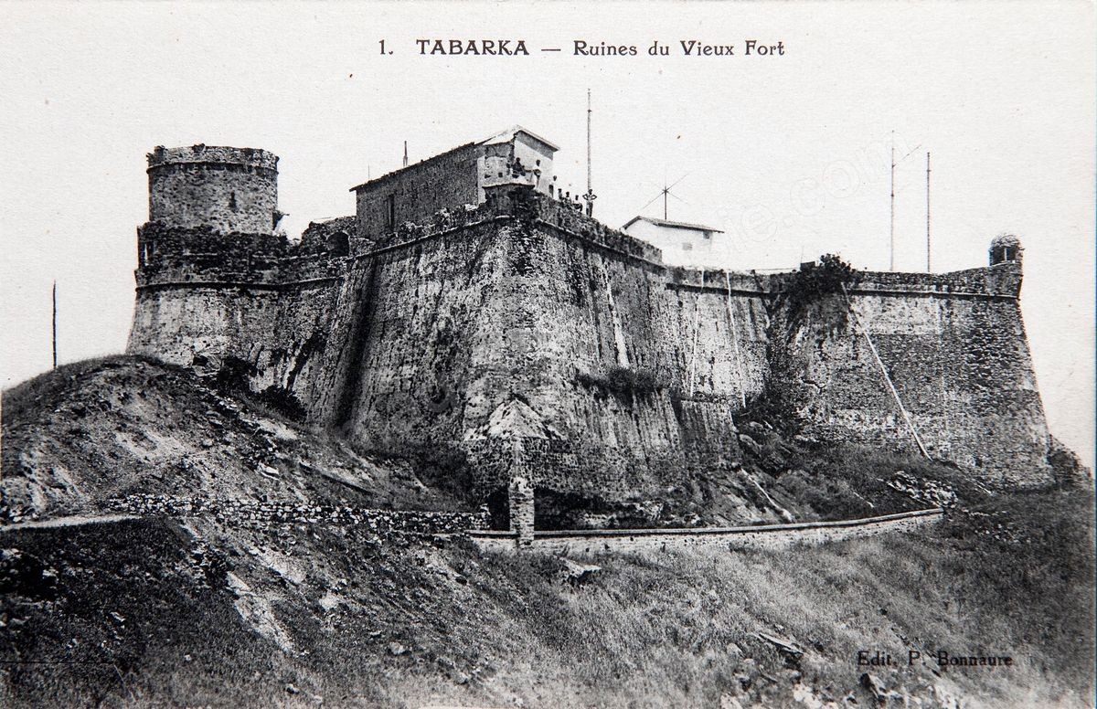 P036-113