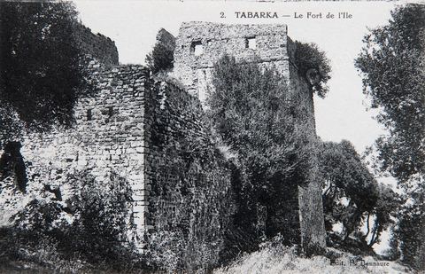 Le fort génois sur l'ile - Tabarka - Carte postale ancienne Tunisie