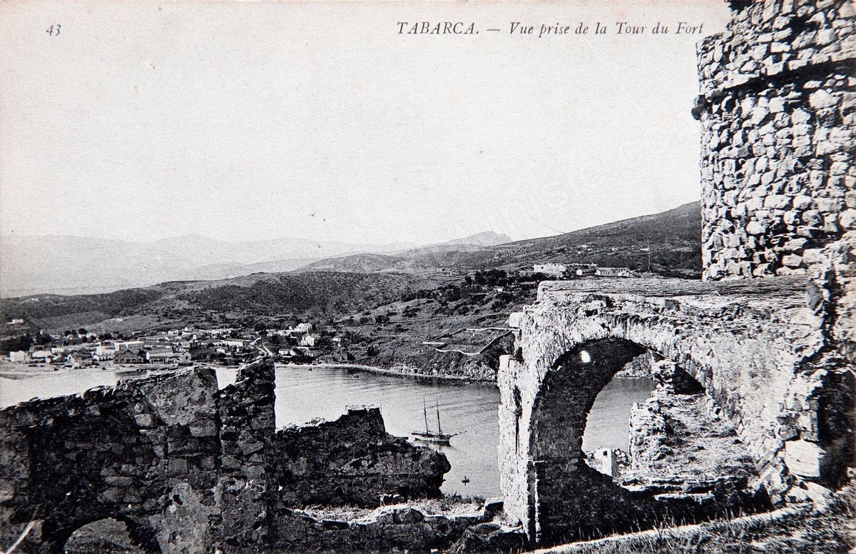 P036-115