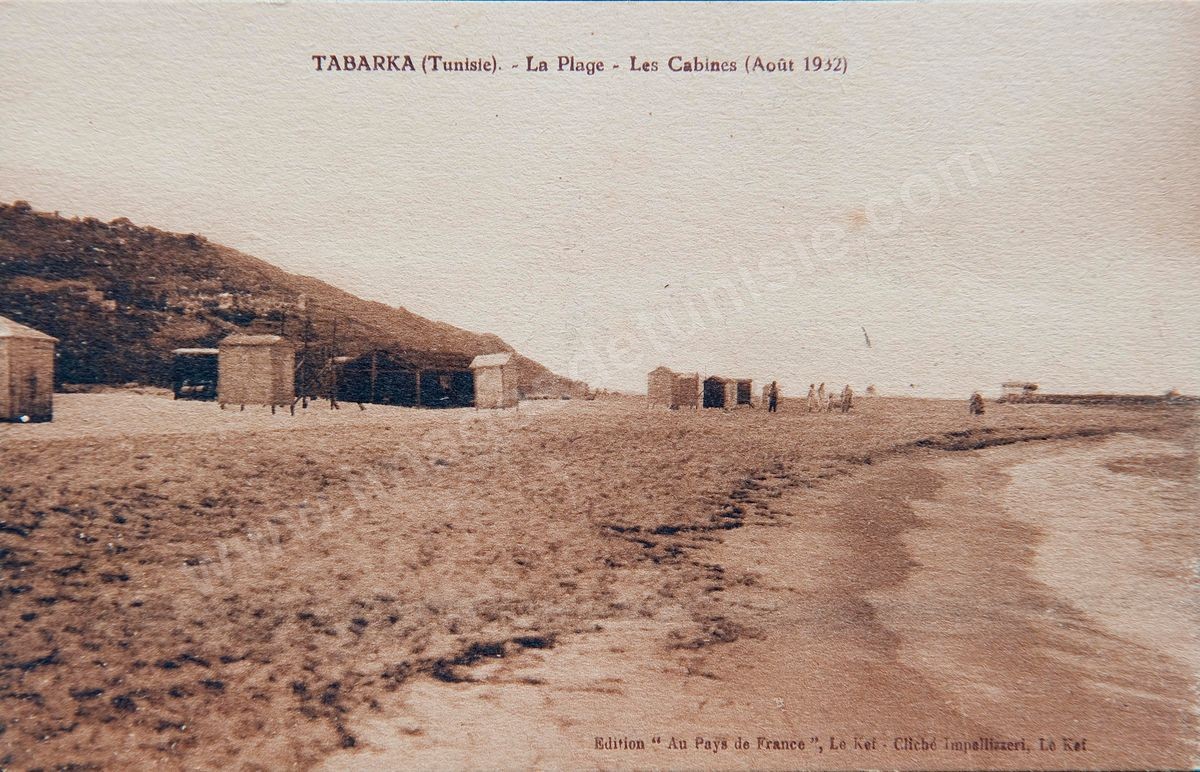 P036-119
