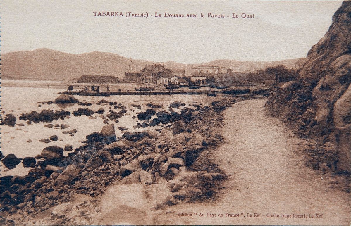 P036-120