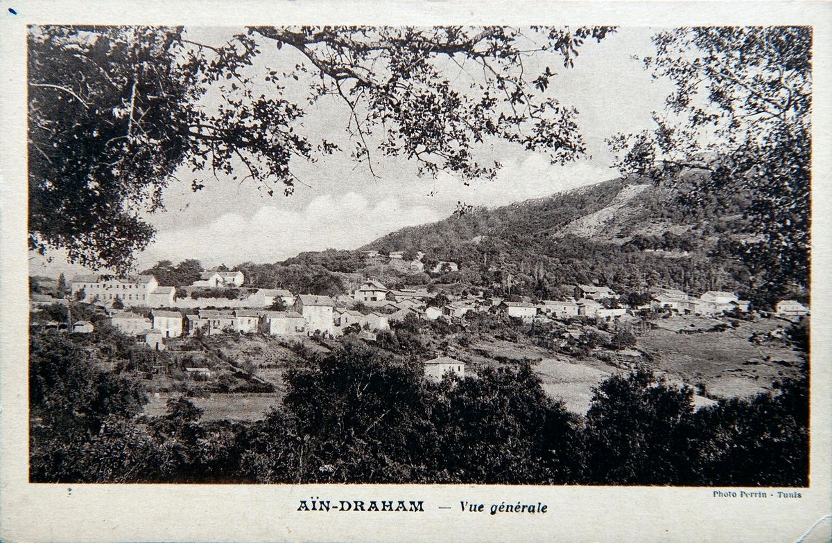 P037 AIN DRAHAM