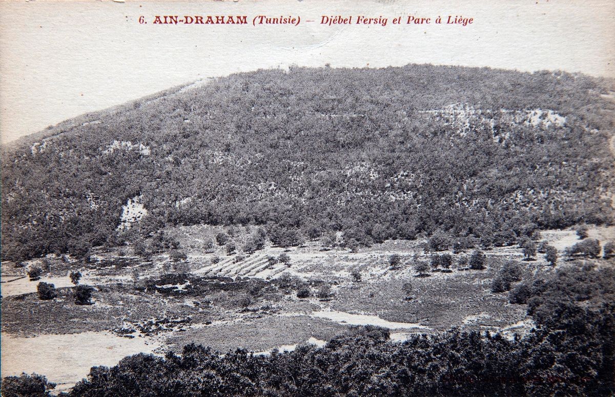 P037-010