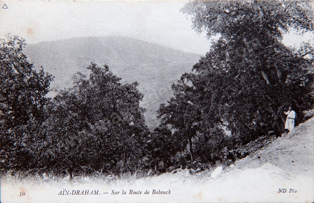 P037-011