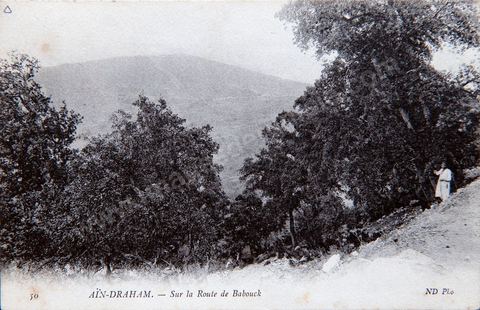 Sur la route de Babouch près de Aïn Draham en Kroumirie - datée de 1904 - Carte postale ancienne Tunisie