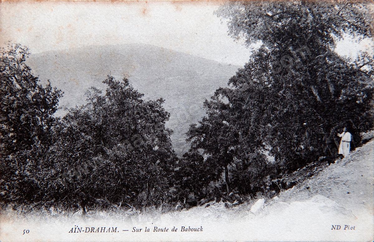 P037-012