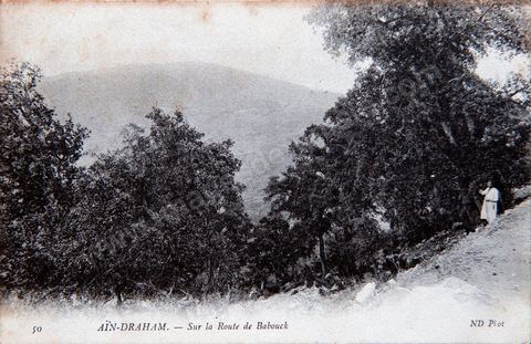Sur la route de Babouch près de Aïn Draham en Kroumirie - datée de 1904 - Carte postale ancienne Tunisie
