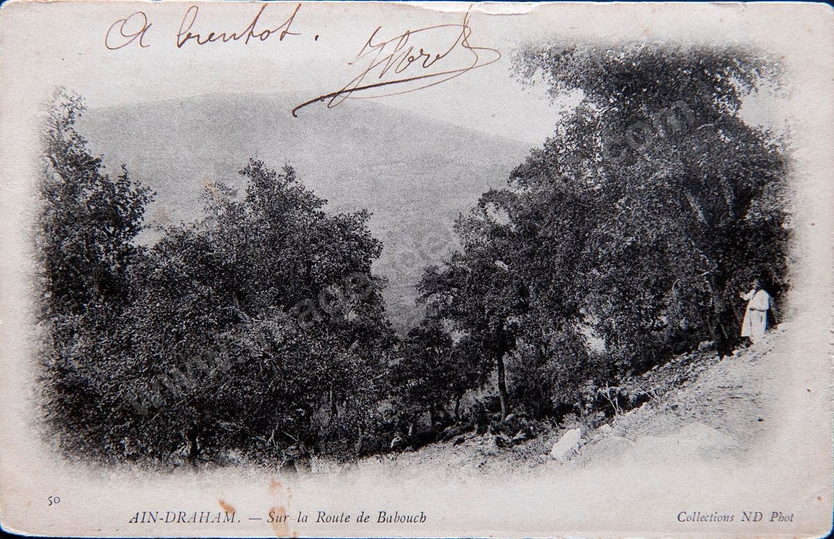 P037-013