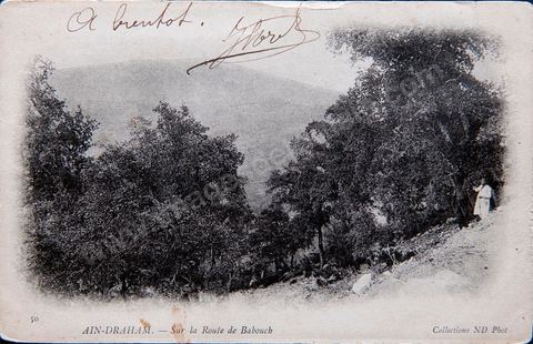 Sur la route de Babouch près de Aïn Draham en Kroumirie - datée de 1904 - Carte postale ancienne Tunisie