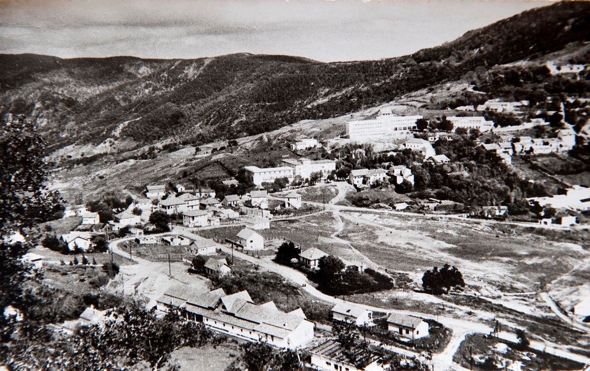 P037-14