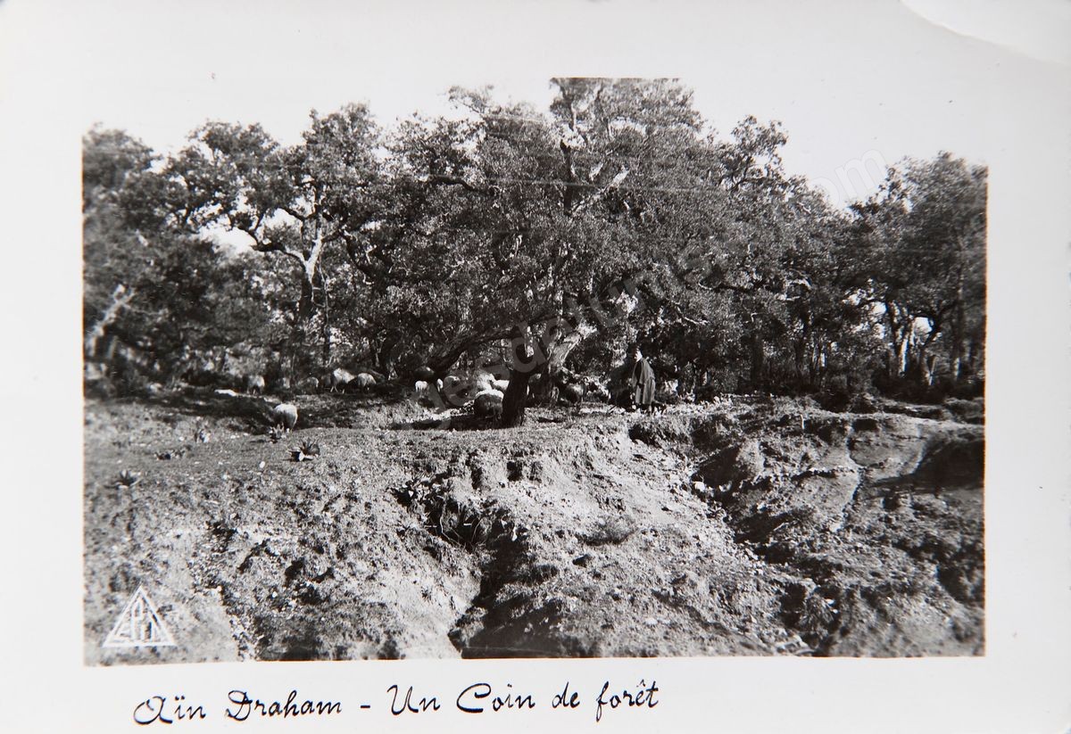P037-15
