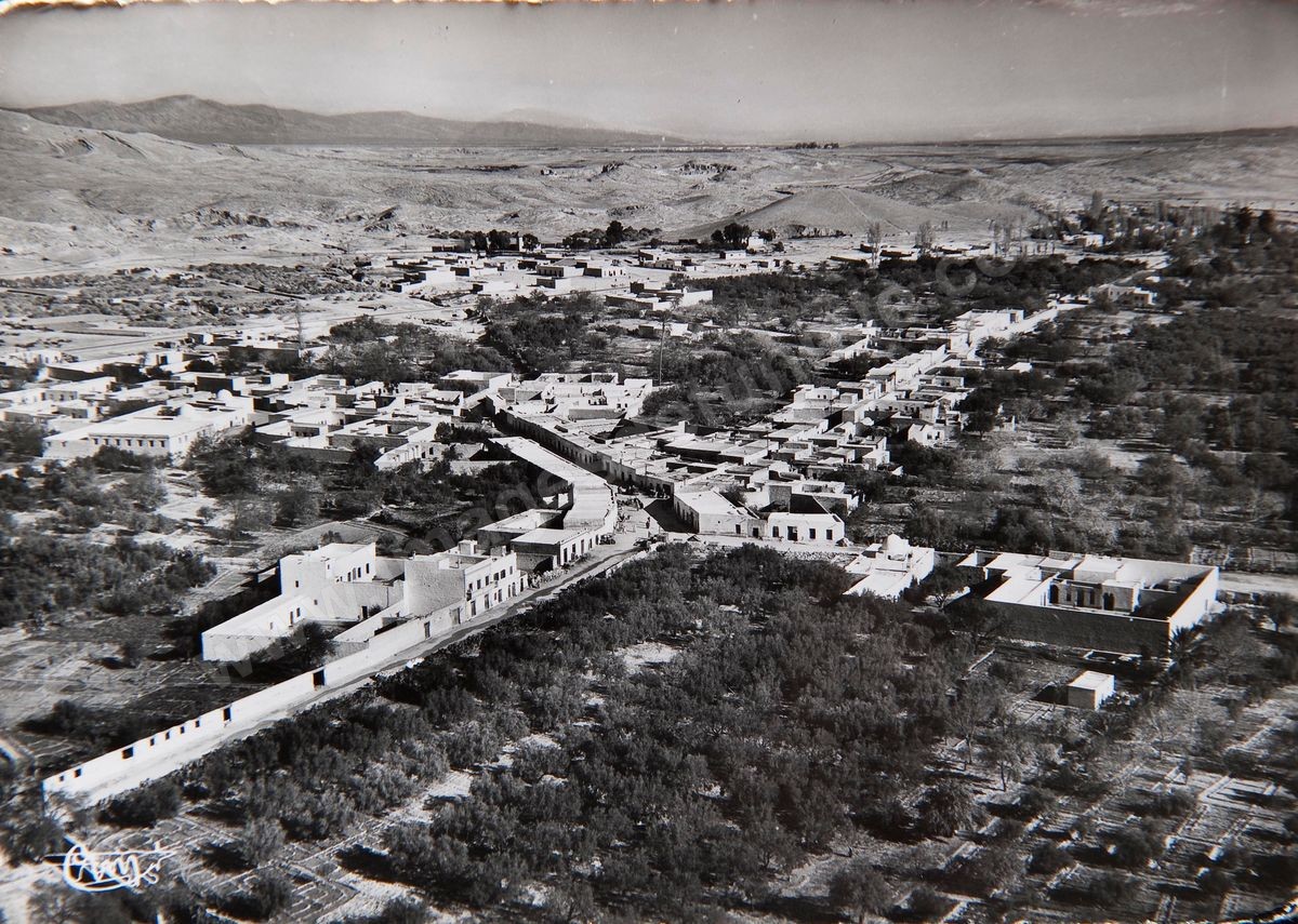 P037-16