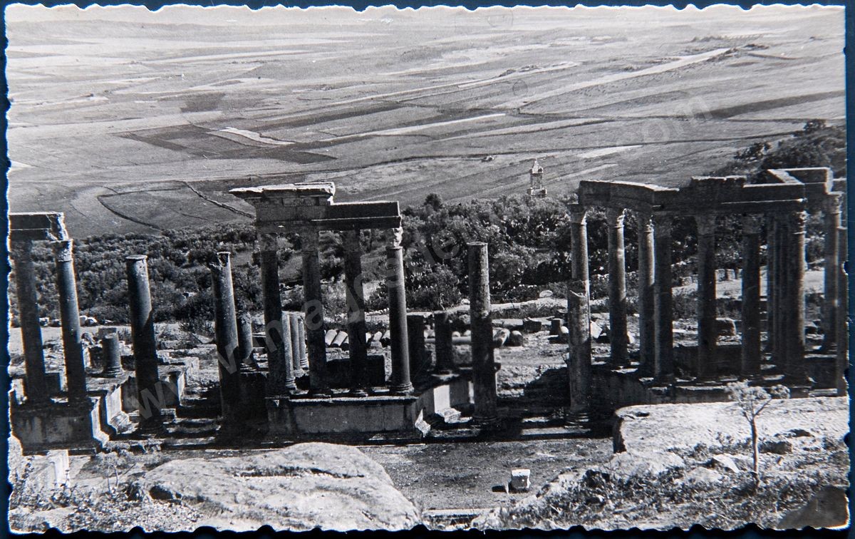 P044-119