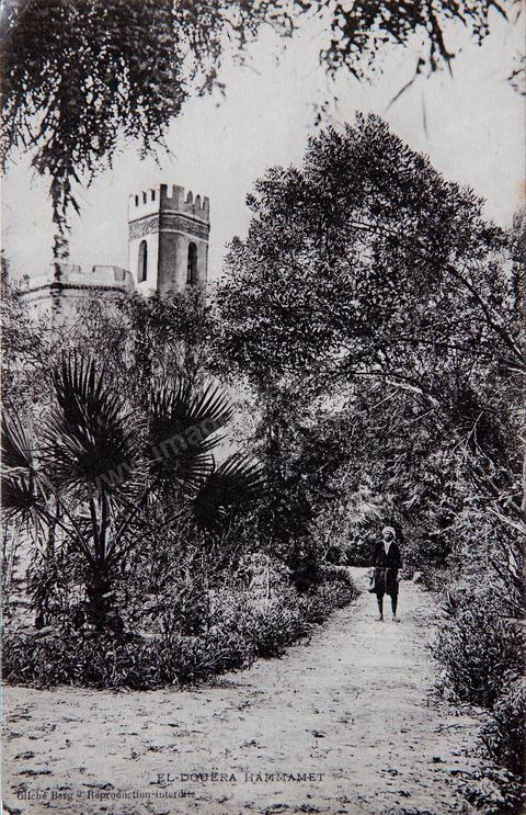 El Douera à Hammamet - Carte postale ancienne Tunisie