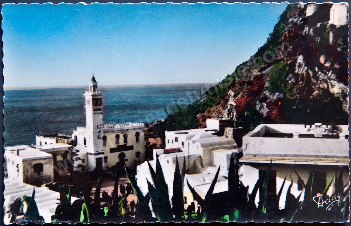 P065-104