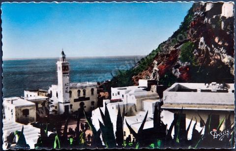 Vue générale sur Station thermale de Korbous - Carte postale ancienne Tunisie