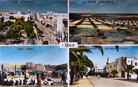 Sfax 1955 - Carte postale ancienne Tunisie