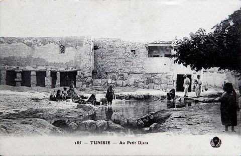 Au Petit Djara - Gabès - Carte postale ancienne Tunisie