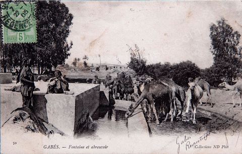 Fontaine et abreuvoir à Gabès - 1905 - Carte postale ancienne Tunisie