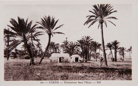 Habitations dans l'oasis de Zarzis - Carte postale ancienne Tunisie