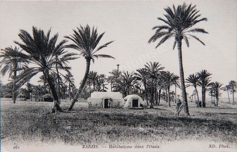 Habitations dans l'oasis de Zarzis - Carte postale ancienne Tunisie