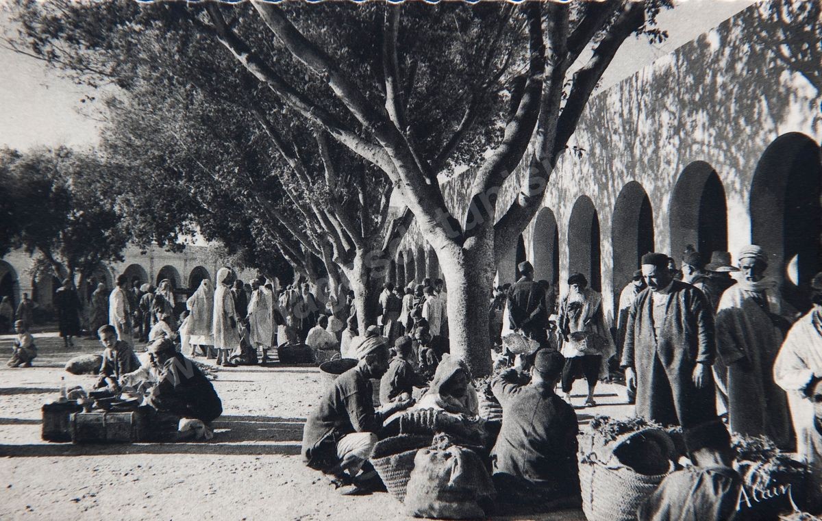 P124 HOUMT SOUK