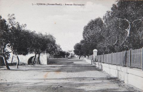 Djerba - Avenue Hartmayer 1918 - Carte postale ancienne Tunisie