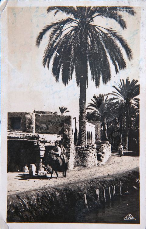 Rue à travers le village de Chenini le long d'un cours d'eau au couer de l'oasis - datée 1917 - Carte postale ancienne Tunisie