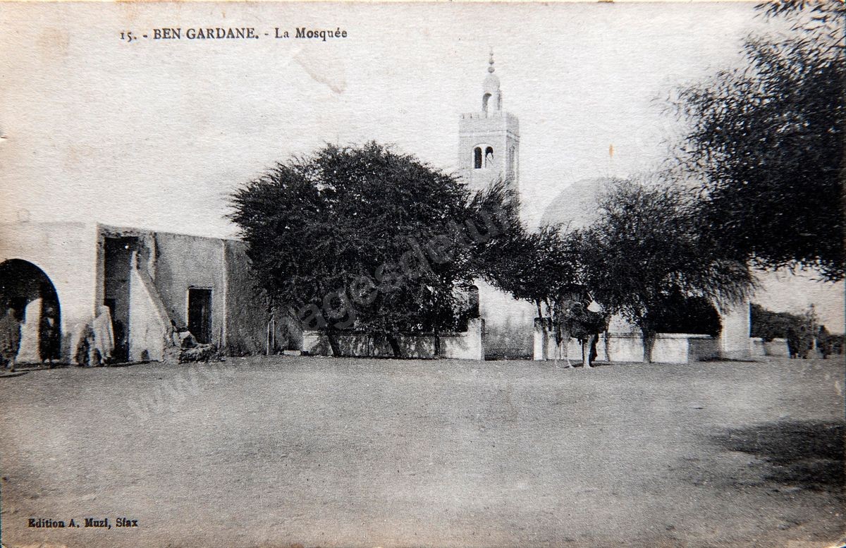 P151-003