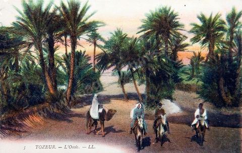 l'oasis de Tozeur avec personnes à cheval - Carte postale ancienne Tunisie