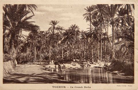 La grande Berka dans l'oasis de Tozeur - 1931 - Carte postale ancienne Tunisie