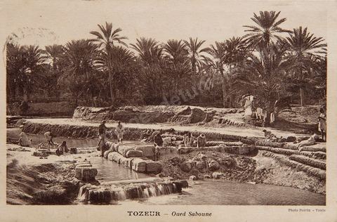 oued Saboune dans l'oasis de Tozeur - Carte postale ancienne Tunisie