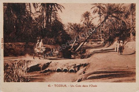 Dans l'oasis de Tozeur - Carte postale ancienne Tunisie