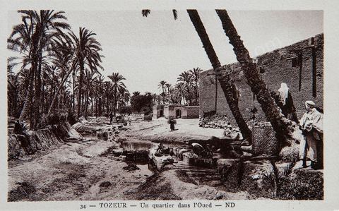 un quartier dans l'oued de l'oasis de Tozeur - Carte postale ancienne Tunisie