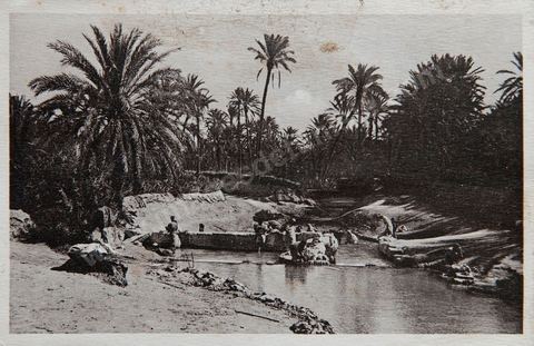 Oued dans l'oasis de Tozeur - Carte postale ancienne Tunisie