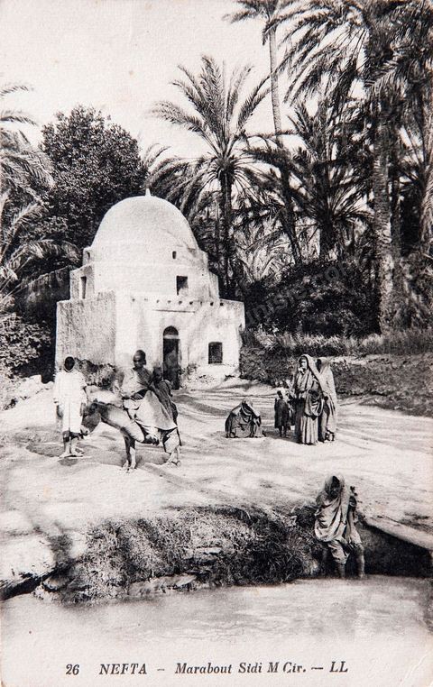 Marabout Sidi M'Cir dans l'oasis de Nefta - 1931 - Carte postale ancienne Tunisie