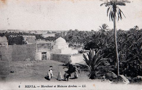 Marabout et maisons arabes dans l'oasis de Nefta - 1937 - Carte postale ancienne Tunisie