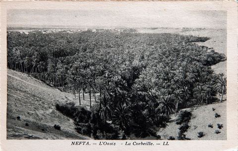 La Corbeille de Nefta - Carte postale ancienne Tunisie